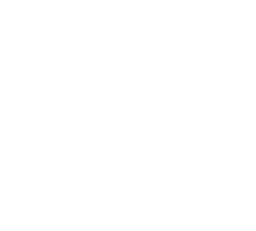 Logo principal Tamdrea Aerospace - blanco
